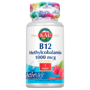 B12 Methylcobalamin (90 tab)