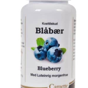 Camette Blåbær m. luteinrig morgenfrue (120 tab)