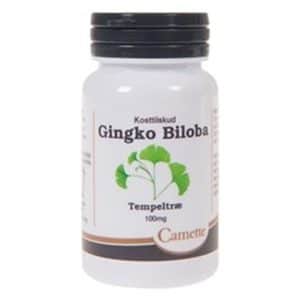 Camette Ginkgo biloba 100 mg (90 tab)