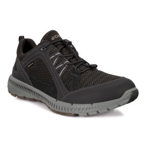 Ecco Terracruise II Gore-Tex Fritidssko Herre, sort