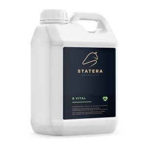 STATERA Horsecare B Vital 3 L