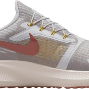 Air Zoom Pegasus 39 Flyease Lobesko