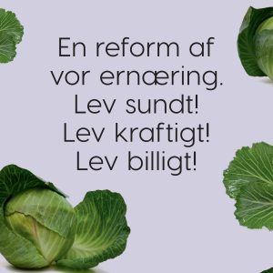 En reform af vor ernæring. Lev sundt! Lev kraftigt! Lev billigt! - E-bog