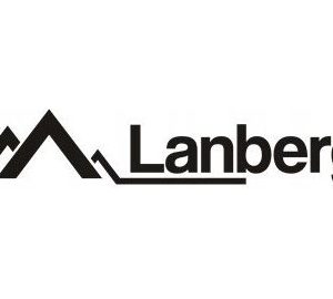 Lanberg 19" 9U 450 Rack 450 Pendler Rack Installationsskab Sort Glasdør (Monteret)