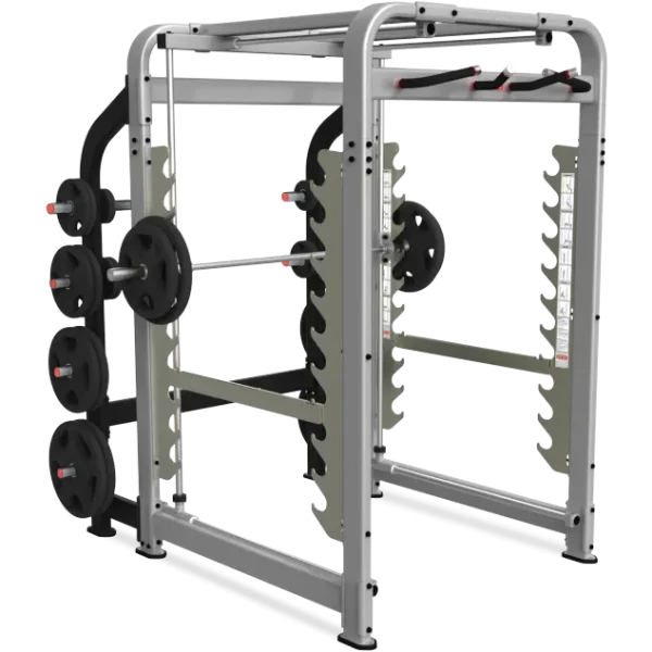 Nautilus Plate Loaded Freedom Rack