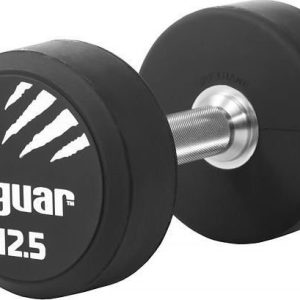 Tiguar Håndvægt Ti-Whpu0125 Gummieret 1 X 12,5 Kg