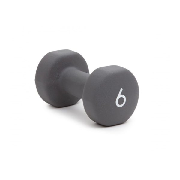 Abilica Dumbbell 6 kg