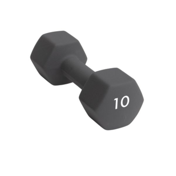 Abilica Hex DumbBell 10 kg