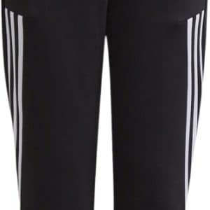 Future Icons Winterized Tapered Joggingbukser