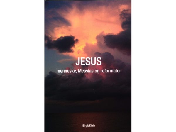 Jesus - Menneske, Messias Og Reformator | Birgit Klein