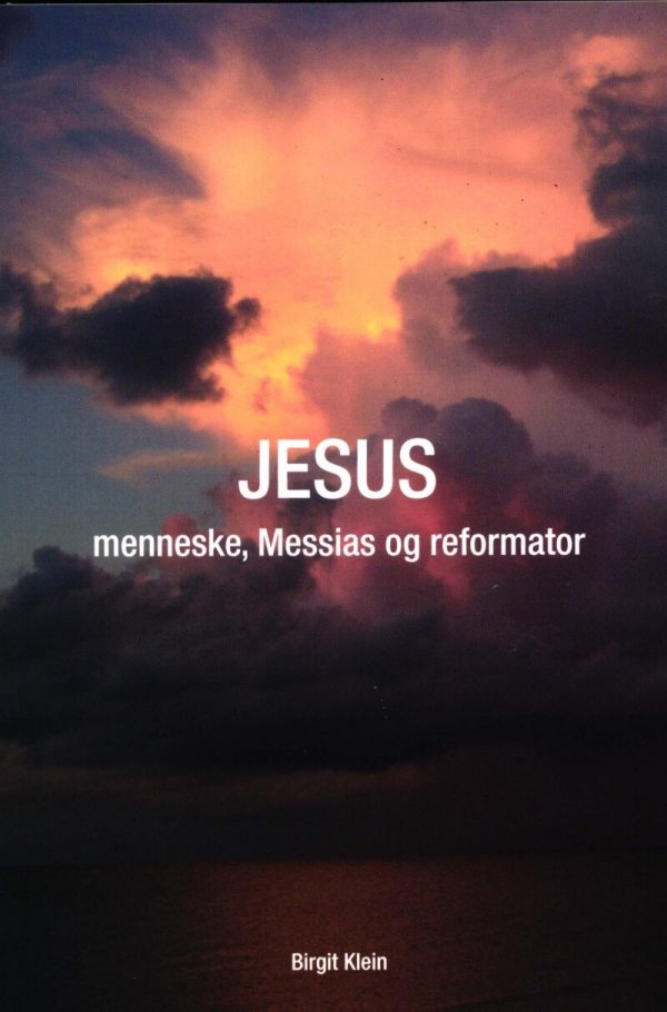 Jesus - Menneske, Messias Og Reformator - Birgit Klein - Bog