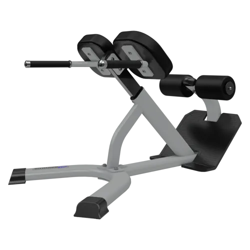Nautilus Instinct 45 Degree Back Extension