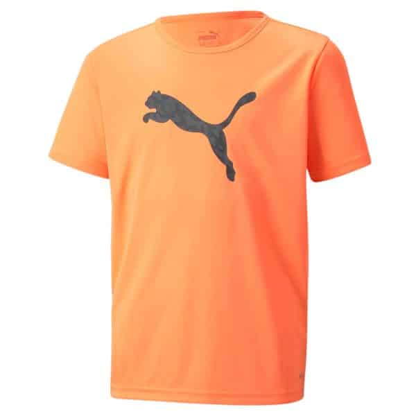 Puma individualRISE Logo Jr T-shirt Børn