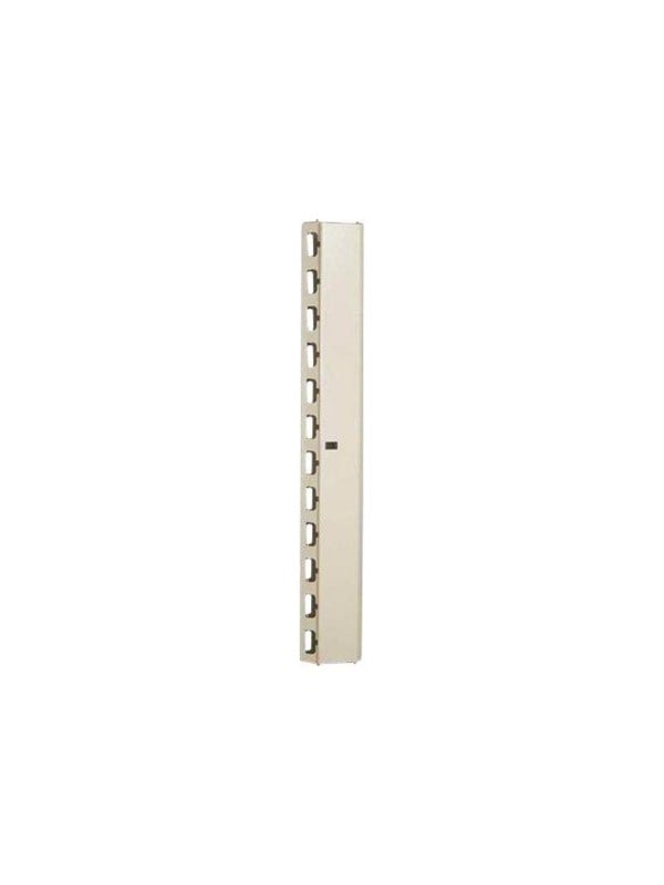 DIGITUS Professional Line DN-19 ORG-42U - rack cable management panel - 42U