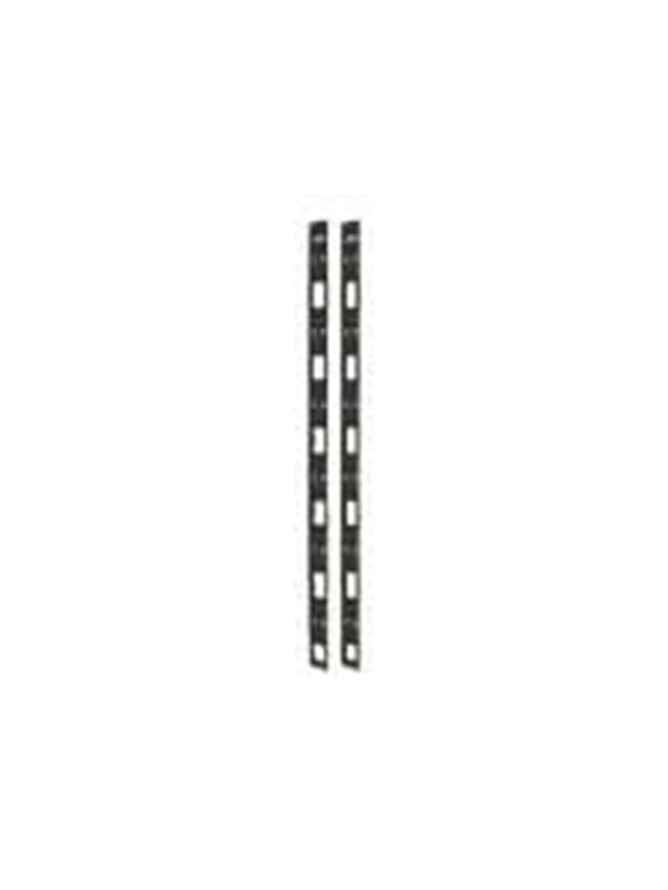 APC Vertical Cable Organizer NS VL 42U Qty2