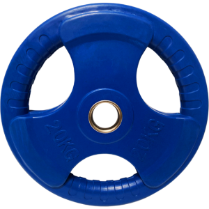 ASG gummi vægtskive 20 kg