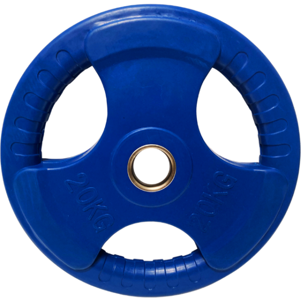 ASG gummi vægtskive 20 kg
