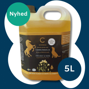 Camelina olie økologisk - 5 Liter