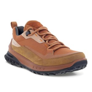 Ecco ULT TRN Waterproof Kvinder / Damer, siena/siena-36 - Vandresko