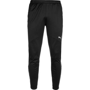Puma Træningsbukser individualWINTERIZED Sort/Grå