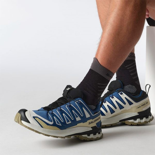Salomon XA Pro 3D v9 GTX Herre / Mænd, d.Blå/icicle-41 1/3 / UK 7,5 - Vandresko