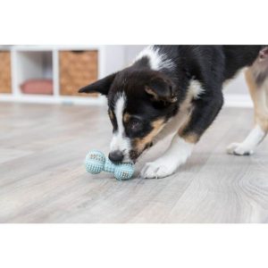 Trixie Junior Dumbbell assorted colors 9cm (1-Pack)