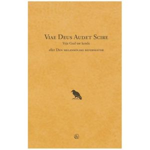 Viae Deus audet scire - veje Gud tør kende eller Den melankolske reformator: Den melankolske reformator