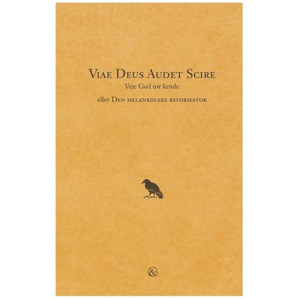 Viae Deus audet scire - veje Gud tør kende eller Den melankolske reformator: Den melankolske reformator