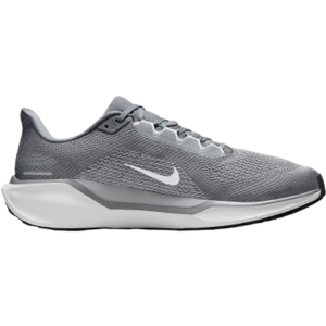 Nike Pegasus 41 M - Cool Grey/Wolf Grey/Pure Platinum/White