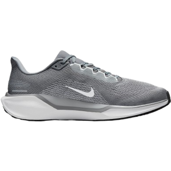Nike Pegasus 41 M - Cool Grey/Wolf Grey/Pure Platinum/White
