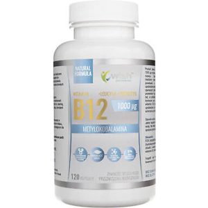 Wish vitamin b12 mcg + probiotic 120 Stk.