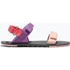 Xero Shoes D-Trail Barfodssko Damer - Dewberry Multi