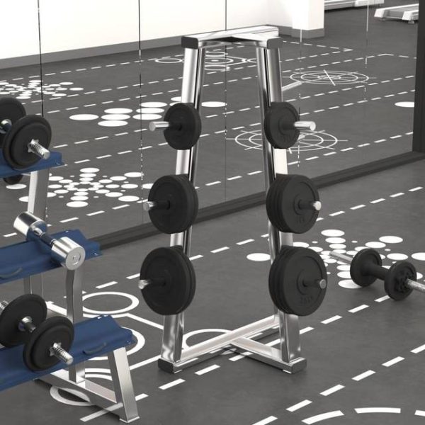 vidaXL vægtskiver 6 stk. 30 kg støbejern