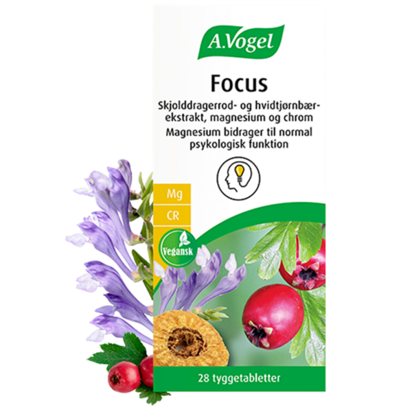 A. Vogel Focus (28 tabl)