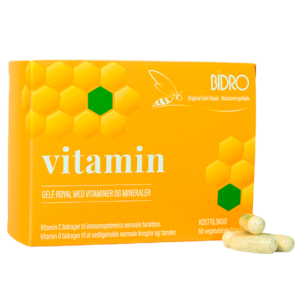 Bidro Vitamin Vegansk (60 kaps)