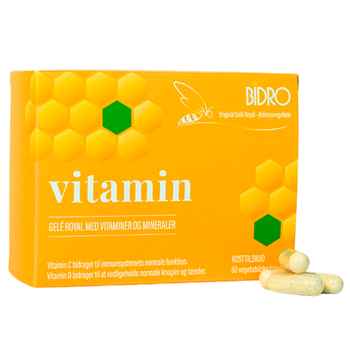 Bidro Vitamin Vegansk (60 kaps)