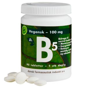DFI B5 Vitamin 100 mg (90 tabletter)