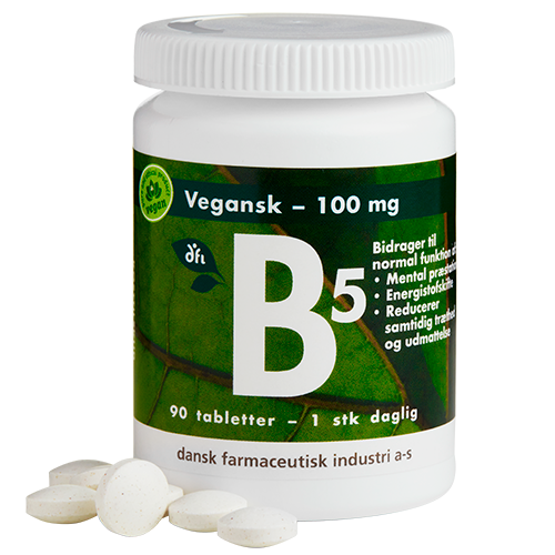 DFI B5 Vitamin 100 mg (90 tabletter)