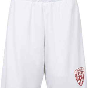 Danmark Shorts