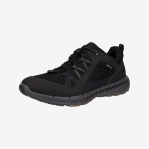 ECCO - Terracruise II Gore-Tex (Black) - 39
