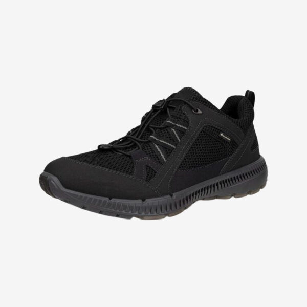 ECCO - Terracruise II Gore-Tex (Black) - 39