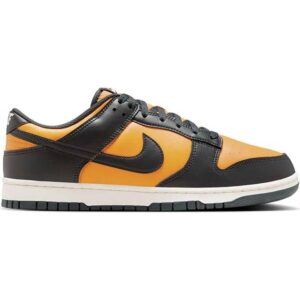 Nike Dunk Low Retro M - Sundial/Sail/Anthracite