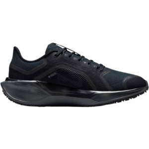 Nike Pegasus 41 GTX W - Black/Anthracite