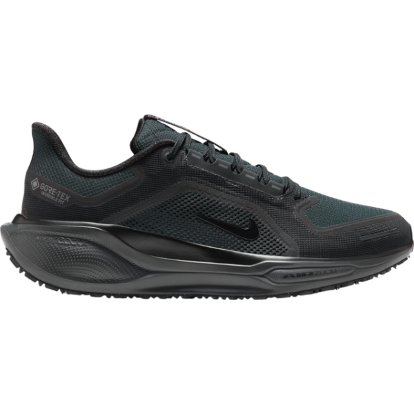 Nike Pegasus 41 Gore-Tex M - Black/Anthracite