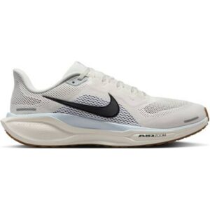Nike Pegasus 41 M - Sail/Blue Tint/Wolf Grey/Anthracite