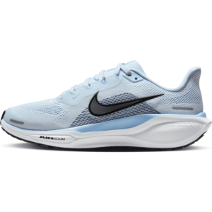 Nike Pegasus 41-l'Besko Til Vej Til Kvinder - 40.5