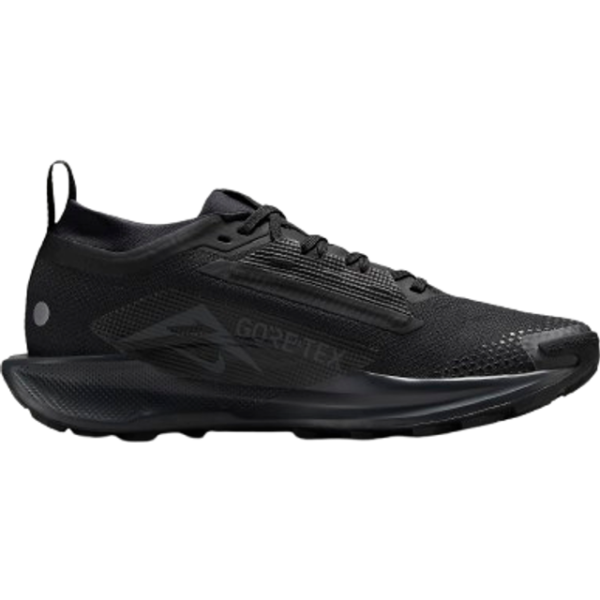 Nike Pegasus Trail 5 GTX W - Black/Anthracite