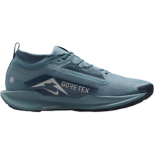 Nike Pegasus Trail 5 Gore-Tex M - Smokey Blue/Light Silver/Armory Navy