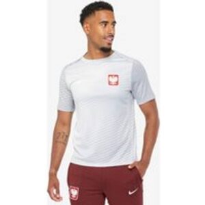 Nike Polen Academy Pro Dri-FIT Fodboldtrøje Mænd Grå XL