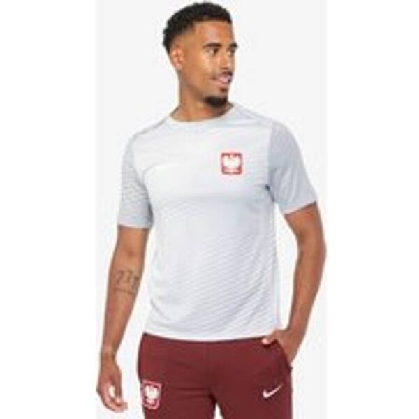 Nike Polen Academy Pro Dri-FIT Fodboldtrøje Mænd Grå XL